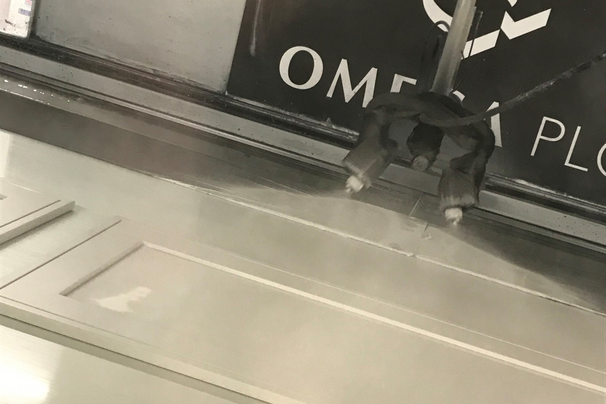 Img 0628 2