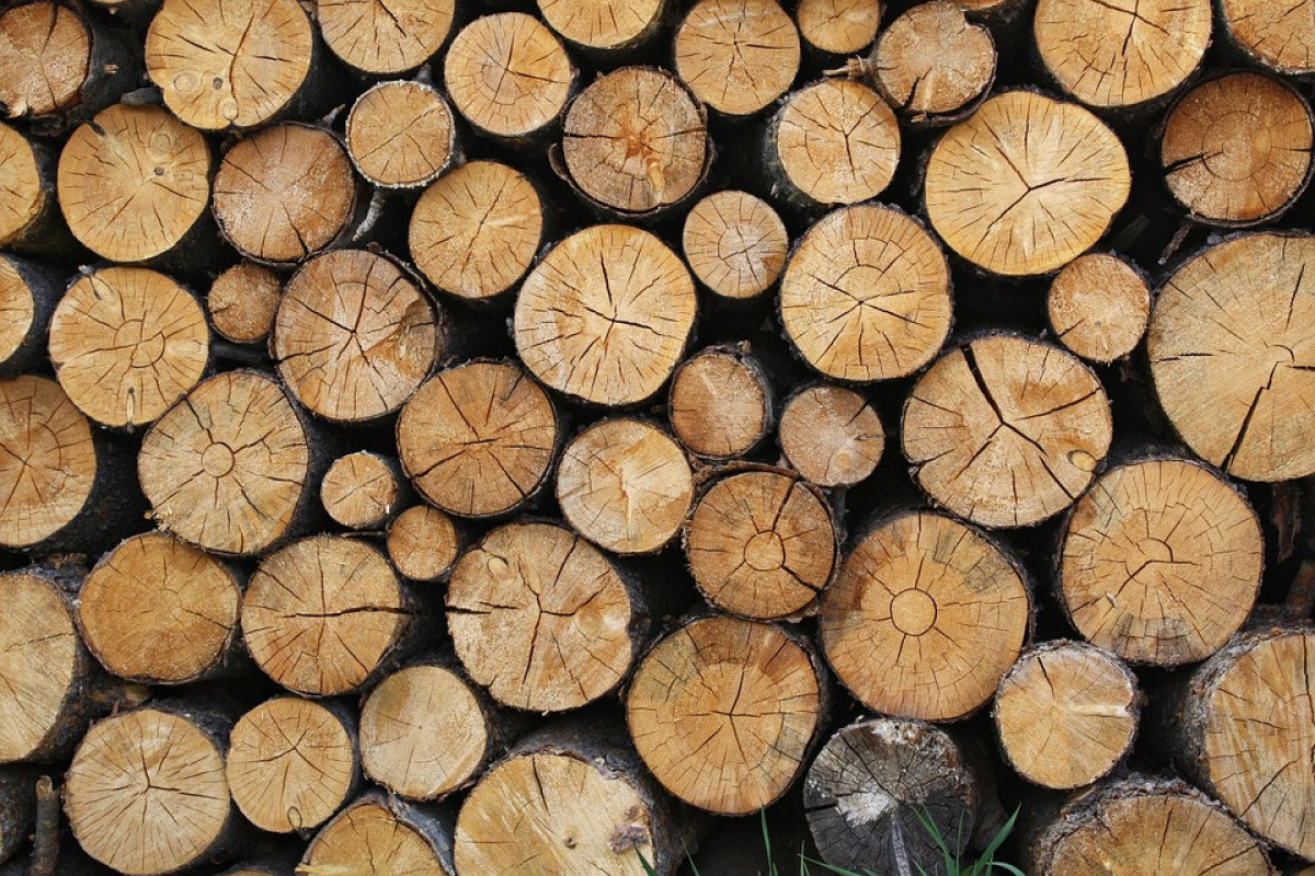 Logs 690888 960 720