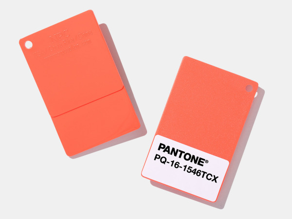Pantone Coy 2019 16 1546 Living Coral Pms Color Plastic Chips
